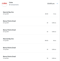 Screenshot 2025-08-26 at 7.52.30 pm.png