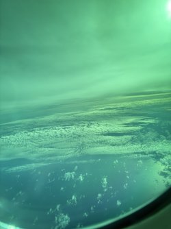 IMG_2087.jpg