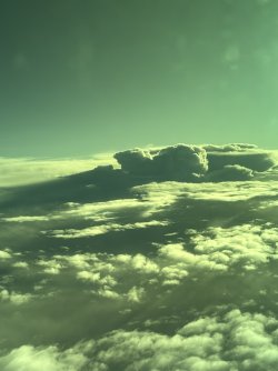 IMG_2094.jpg