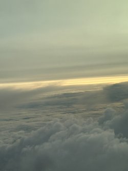 IMG_2095.jpg