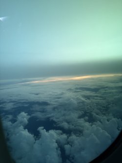IMG_2097.jpg