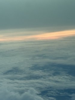 IMG_2098.jpg