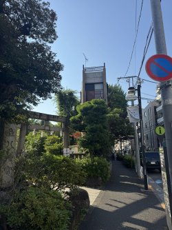 IMG_9973.JPEG