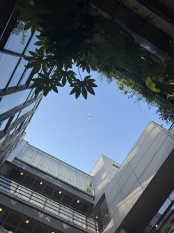 IMG_9983.JPEG