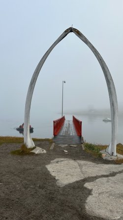 IMG_E8177.JPG