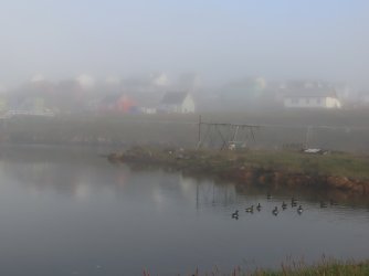 IMG_0079.JPG