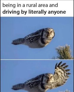 1756445265091.jpeg