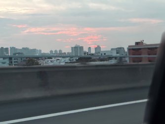 IMG_2163.jpeg