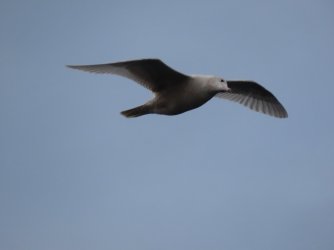 IMG_0285.JPG