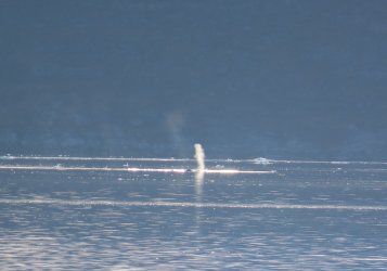 IMG_0322.JPG