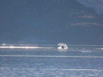 IMG_0324.JPG