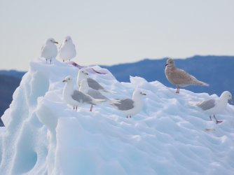 IMG_0448.JPG