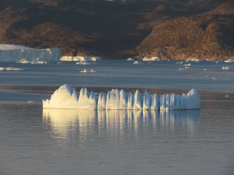 IMG_0479.JPG