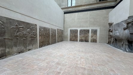 IMG_6111.jpeg