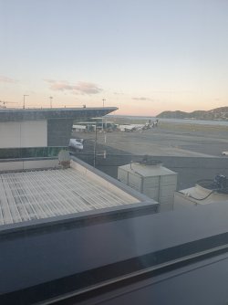20250830_070314.jpg