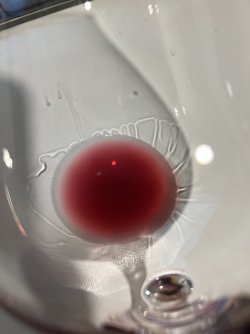 IMG_0650.jpeg