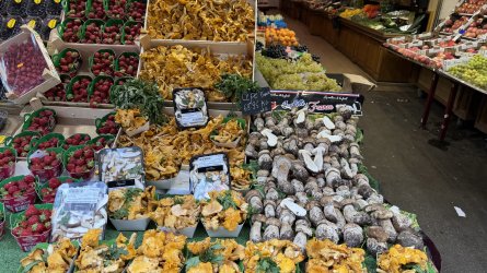 IMG_6453.jpeg