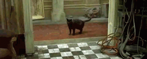 1756600194798.gif