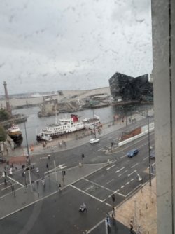 IMG_2335.jpeg