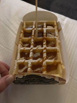 IMG_9808.JPG IMG_9808.JPG