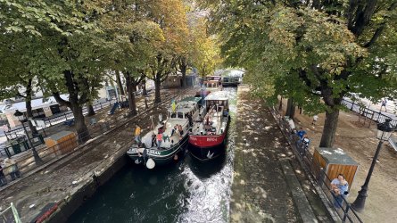 IMG_6585.jpeg