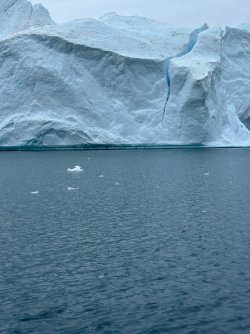 IMG_8554.JPG