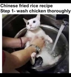 1756699879476.jpeg