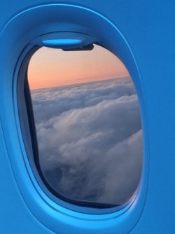 20250831_181956.jpg
