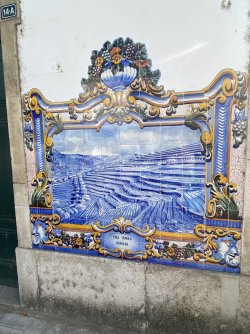IMG_1111.jpeg