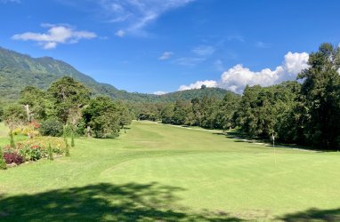 IMG_4286.jpeg