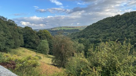 IMG_6765.jpeg
