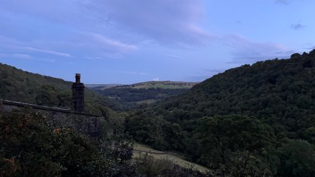 IMG_6784.jpeg