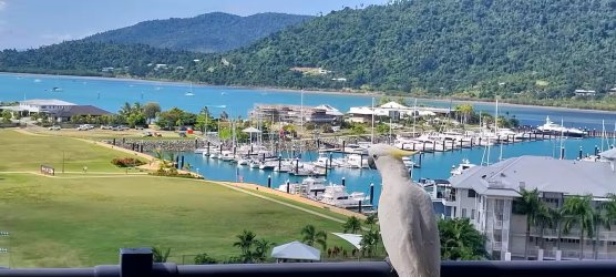 airliebeach.jpg