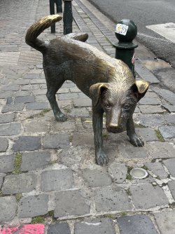 IMG_9859.JPG