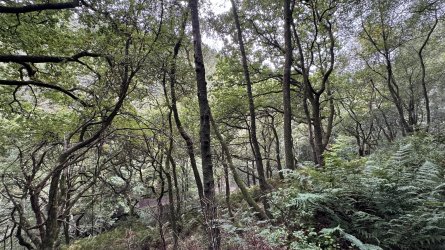 IMG_6815.jpeg