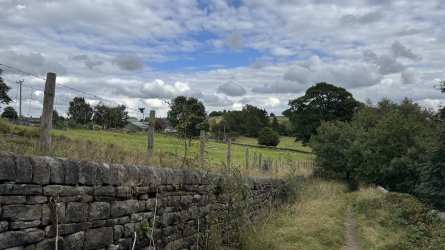 IMG_6844.jpeg