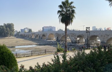 IMG_1382.jpeg
