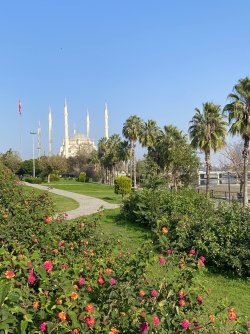 IMG_1384.jpeg
