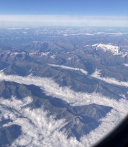 IMG_4306.jpeg