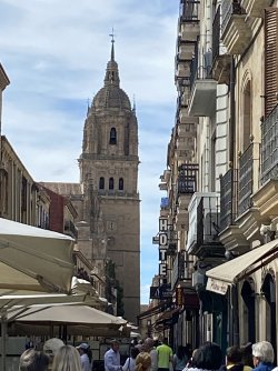 IMG_1166.jpeg