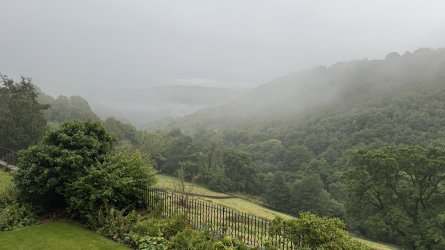 IMG_6849.jpeg IMG_6849.jpeg