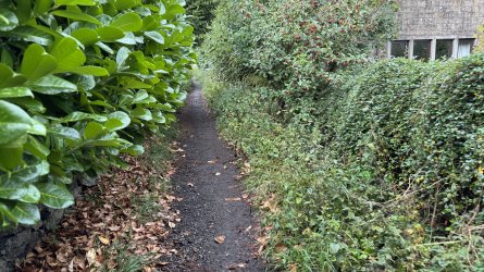 IMG_6910.jpeg