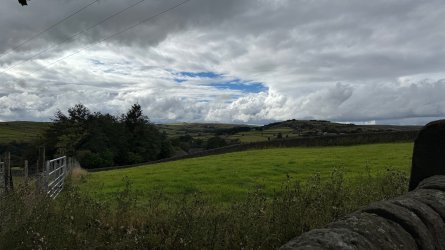 IMG_6942.jpeg
