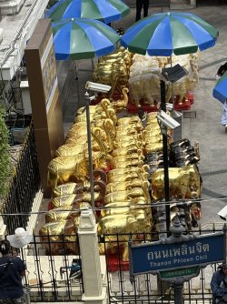 IMG_2157.jpg