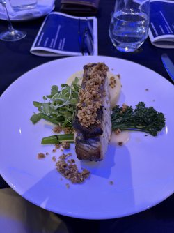 IMG_3550.jpeg