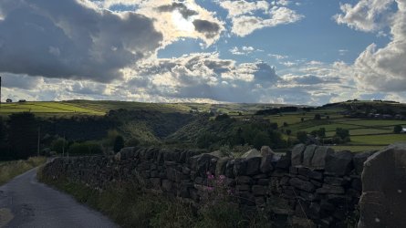 IMG_7036.jpeg