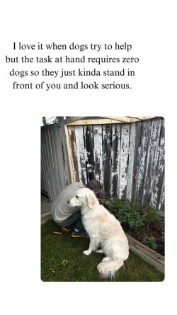 1757012501750.jpeg