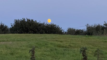 IMG_7042.jpeg