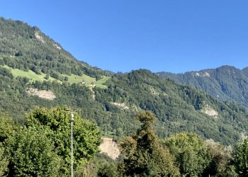 IMG_4329.jpeg