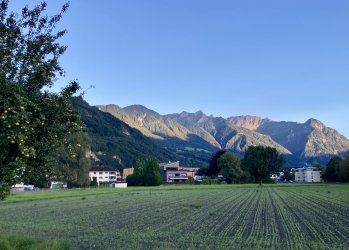 IMG_4344.jpeg